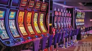 baji betting